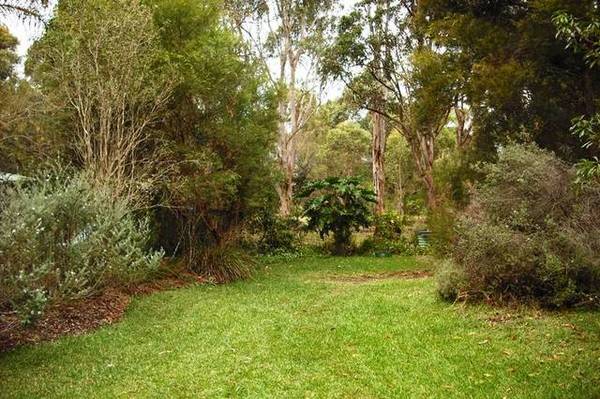 Peaceful, private and plenty of potential Picture 2