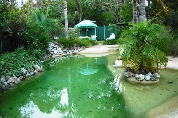 Peaceful, private and plenty of potential Picture 1