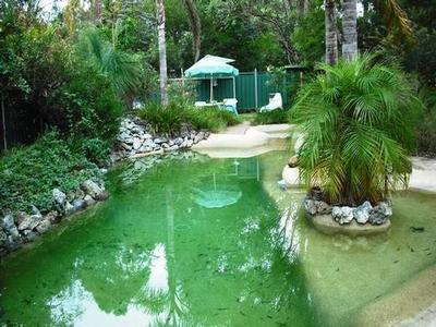 Peaceful, private and plenty of potential Picture