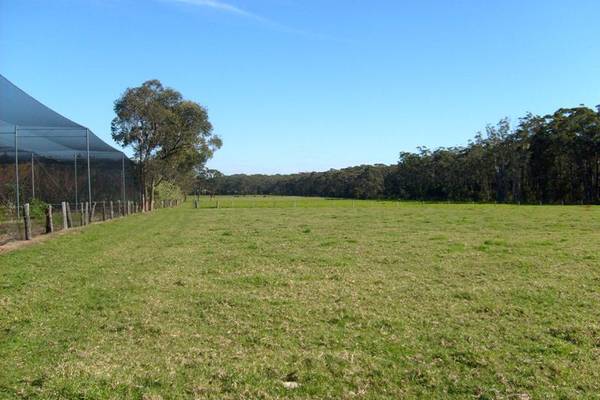 Attention developers!!! Make your Move Today!!! Picture 2