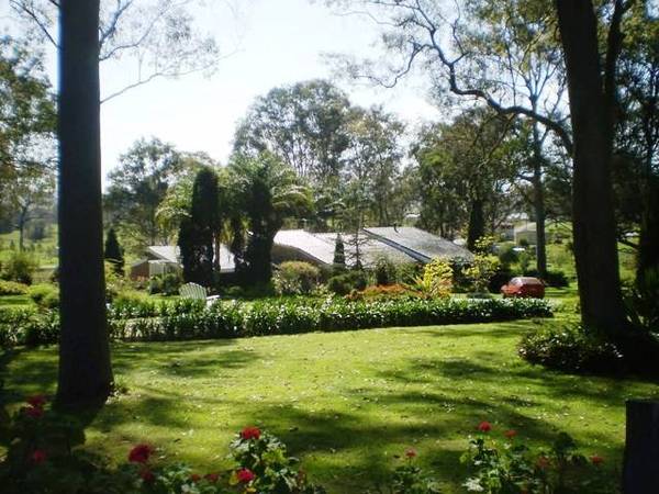 Give me a Home Amongst the Gumtrees! Picture 1