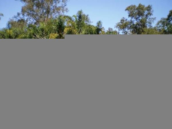 Give me a Home Amongst the Gumtrees! Picture 3