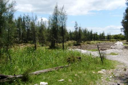 Offers between $680,000 - $740,000 Picture 2