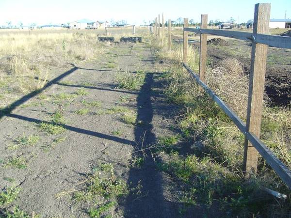 WIDE OPEN SPACES Picture 1