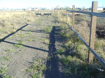 WIDE OPEN SPACES Picture WIDE OPEN SPACES Picture