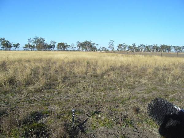 WIDE OPEN SPACES Picture 2