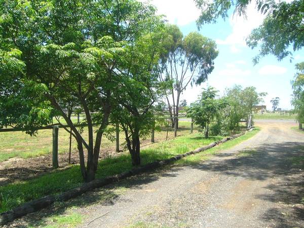 SOLITUDE AND SADDLERY Picture 3