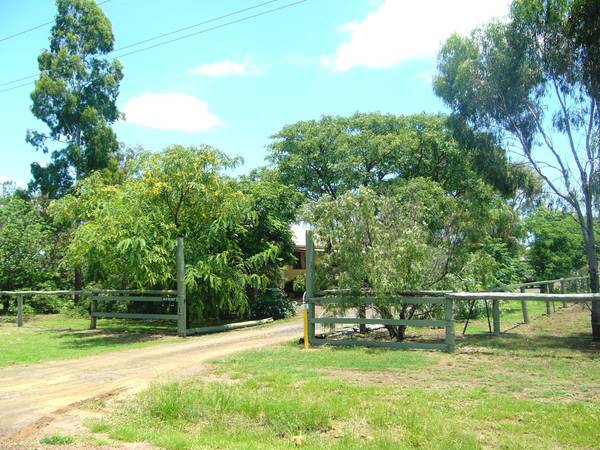 SOLITUDE AND SADDLERY Picture 2