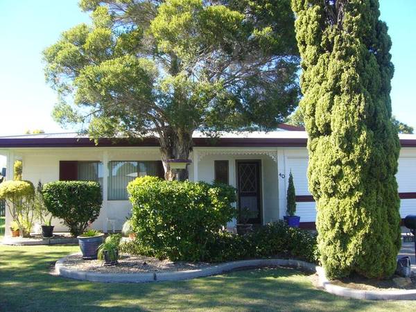 A PLEASURE TO OWN Picture