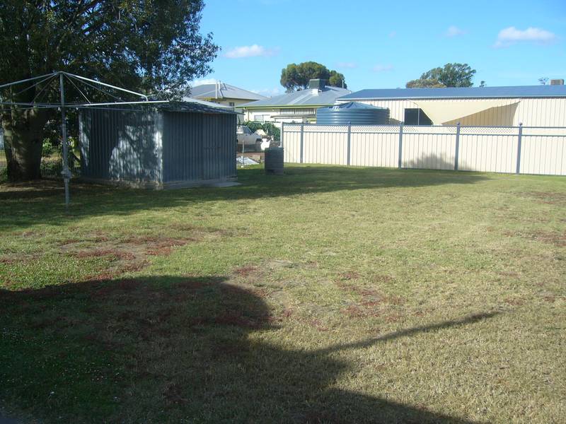 STEP INTO THE MARKET Picture STEP INTO THE MARKET Picture