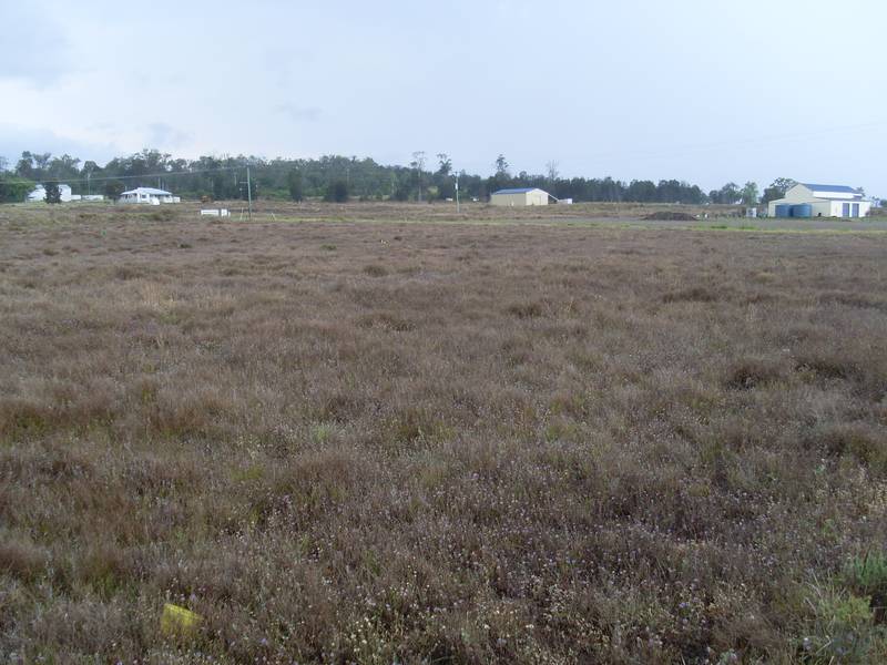 THE BUY OF THE YEAR Picture 2