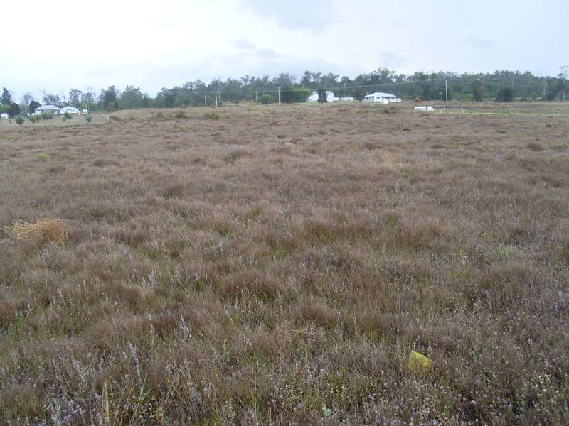 THE BUY OF THE YEAR Picture 1