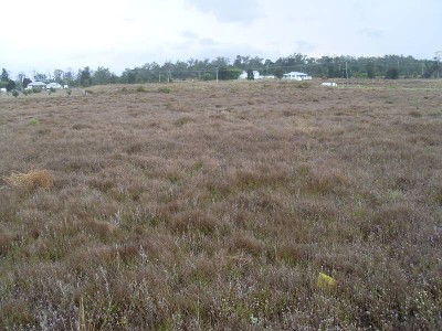 THE BUY OF THE YEAR Picture THE BUY OF THE YEAR Picture