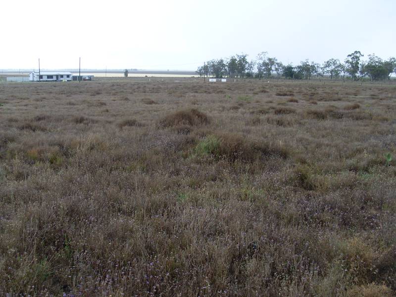 THE BUY OF THE YEAR Picture 3