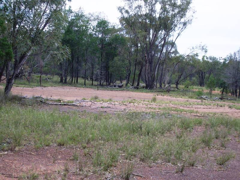 MOVE WEST TO KUMBARILLA Picture 3