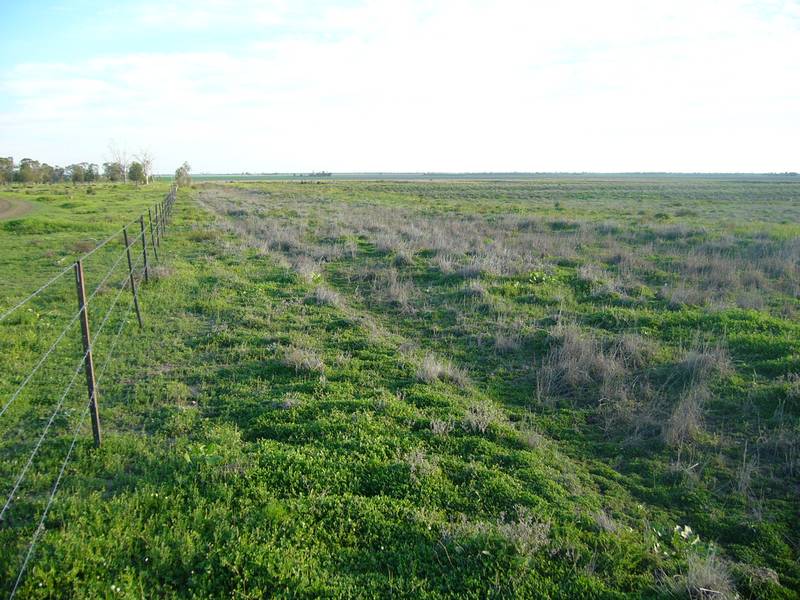 10 MINUTES FROM TOWN ALL BITUMAN Picture 3