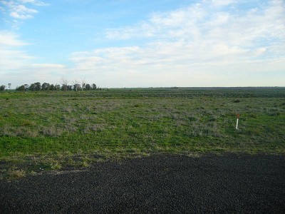 10 MINUTES FROM TOWN ALL BITUMAN Picture 10 MINUTES FROM TOWN ALL BITUMAN Picture