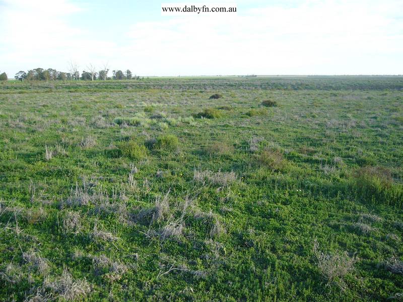 10 MINUTES FROM TOWN ALL BITUMAN Picture 2