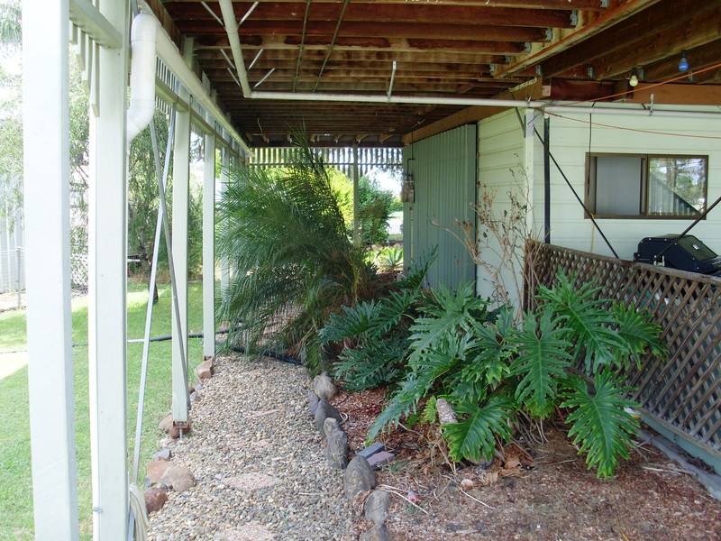 TOP QUALITY Picture 3