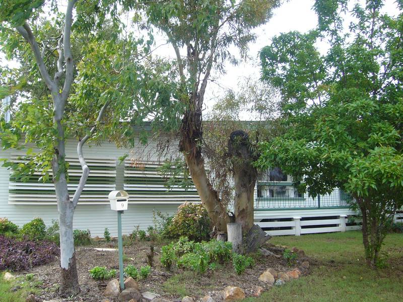 PLACE TO SETTLE FAMILY Picture 1