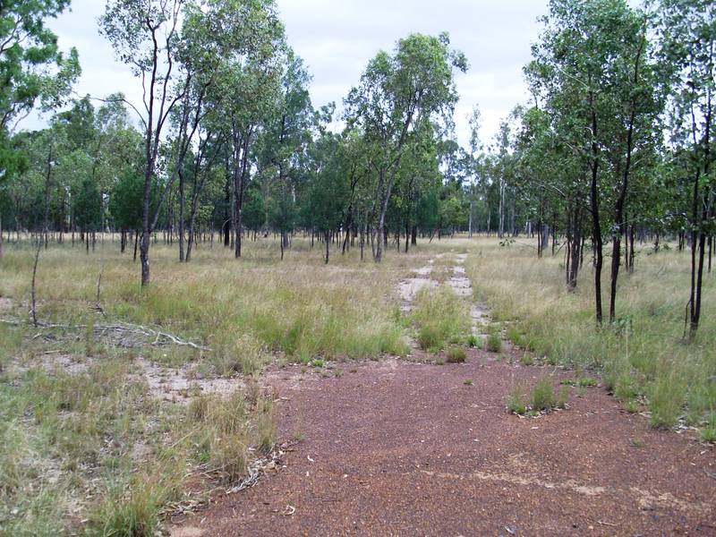 THE OWNER WANTS IT SOLD Picture 3