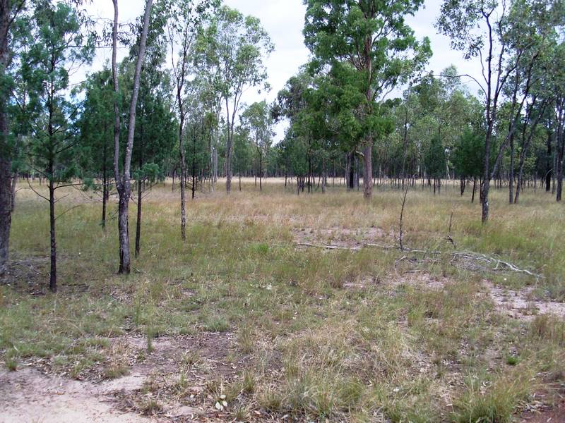 THE OWNER WANTS IT SOLD Picture 2