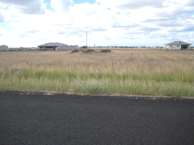 DWELL ON DIAMOND DRIVE Picture 2