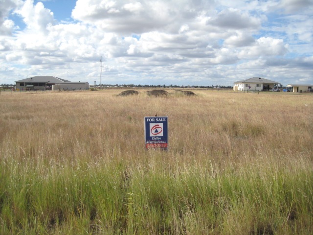 DWELL ON DIAMOND DRIVE Picture 1