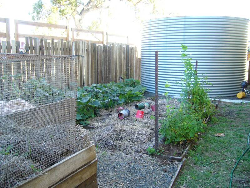 WITH A TOUCH OF FLAIR Picture 3