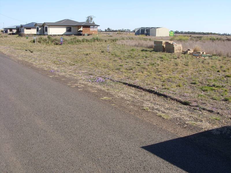 SOUTHERN CROSS ALLOTMENT Picture 3