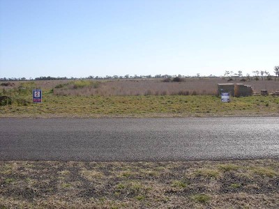 SOUTHERN CROSS ALLOTMENT Picture SOUTHERN CROSS ALLOTMENT Picture