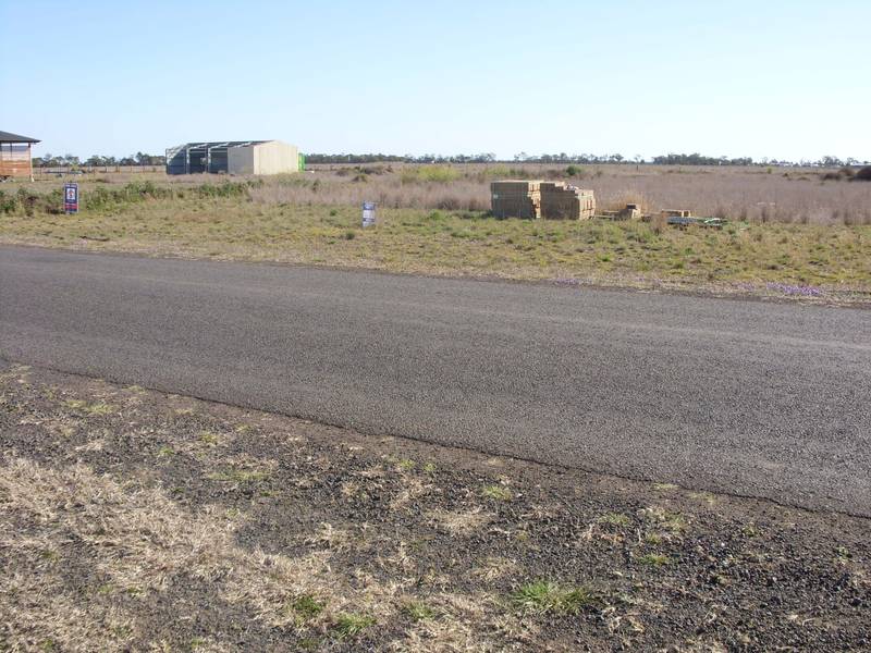 SOUTHERN CROSS ALLOTMENT Picture 2