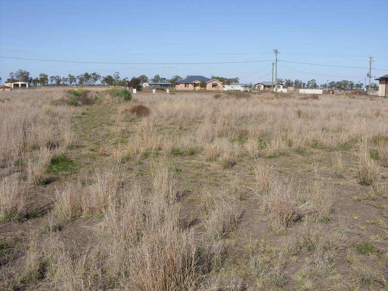 SOUTHERN CROSS ALLOTMENT Picture 2