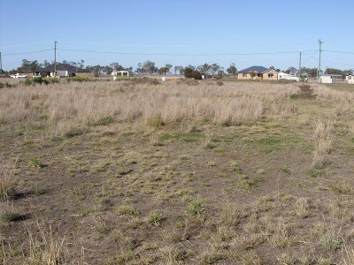 SOUTHERN CROSS ALLOTMENT Picture SOUTHERN CROSS ALLOTMENT Picture