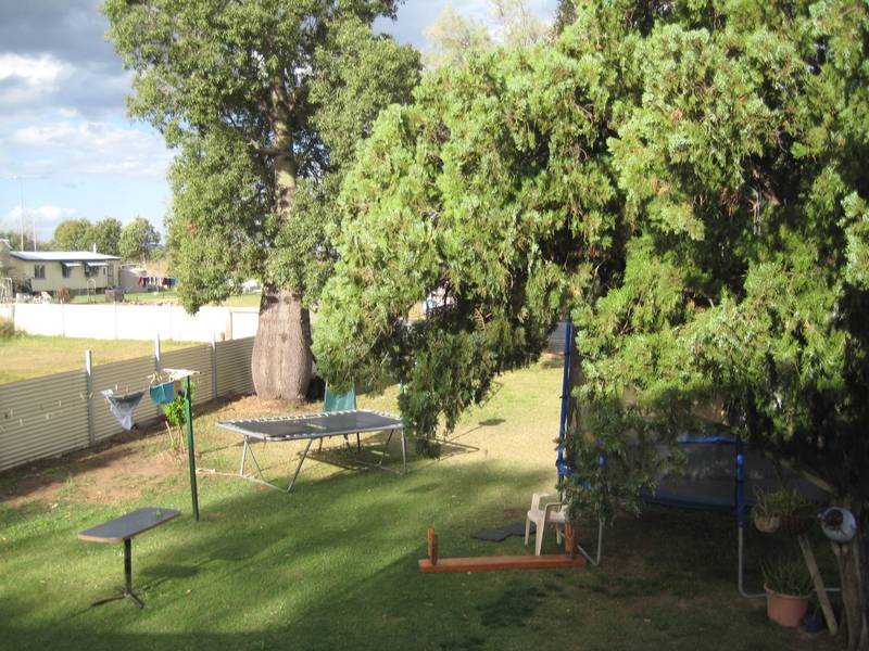 CATCH THE BREEZES Picture 3