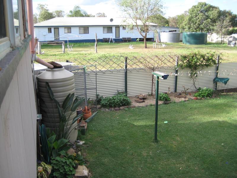 CATCH THE BREEZES Picture 2