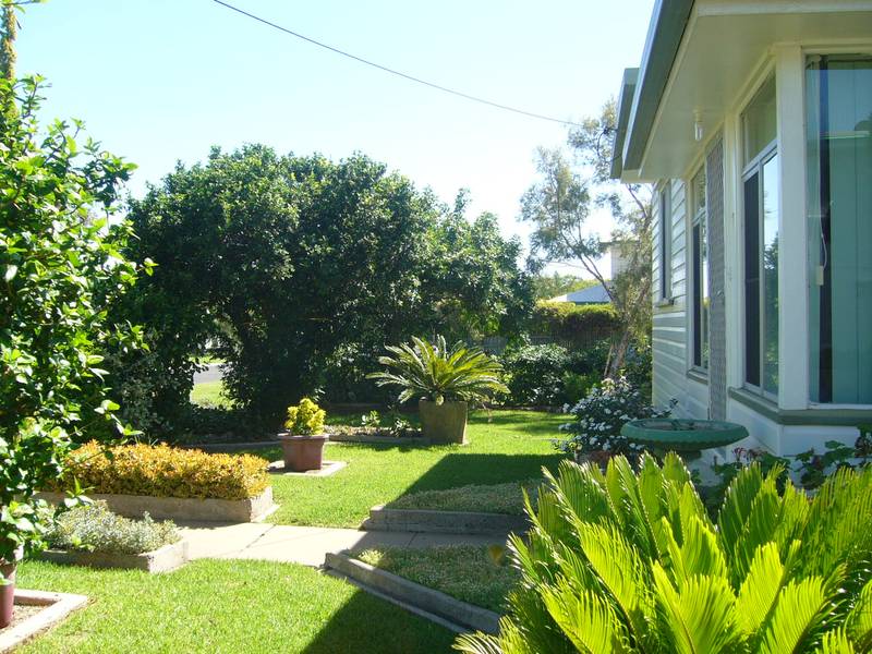 SEE TO BELIEVE Picture 3