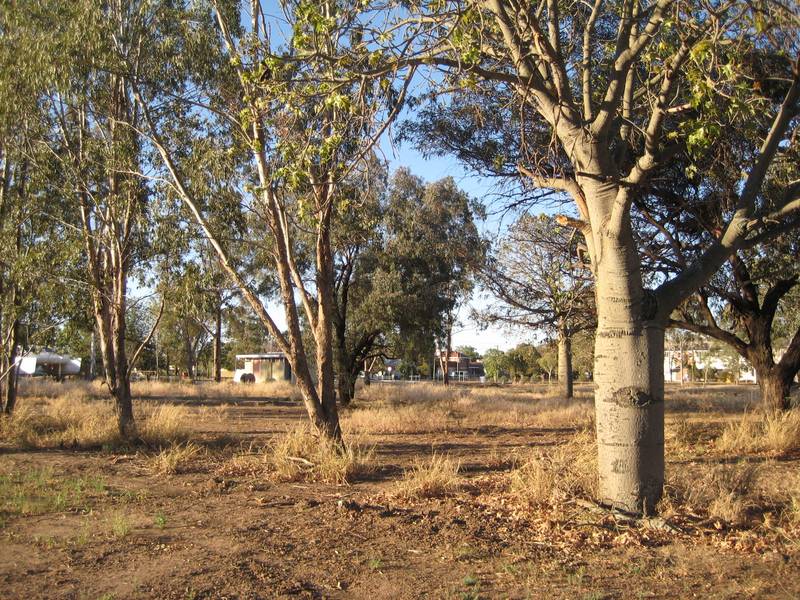 BEAT THE RUSH - Opportunity for capital growth Picture 2