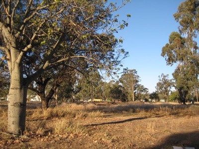 BEAT THE RUSH - Opportunity for capital growth Picture