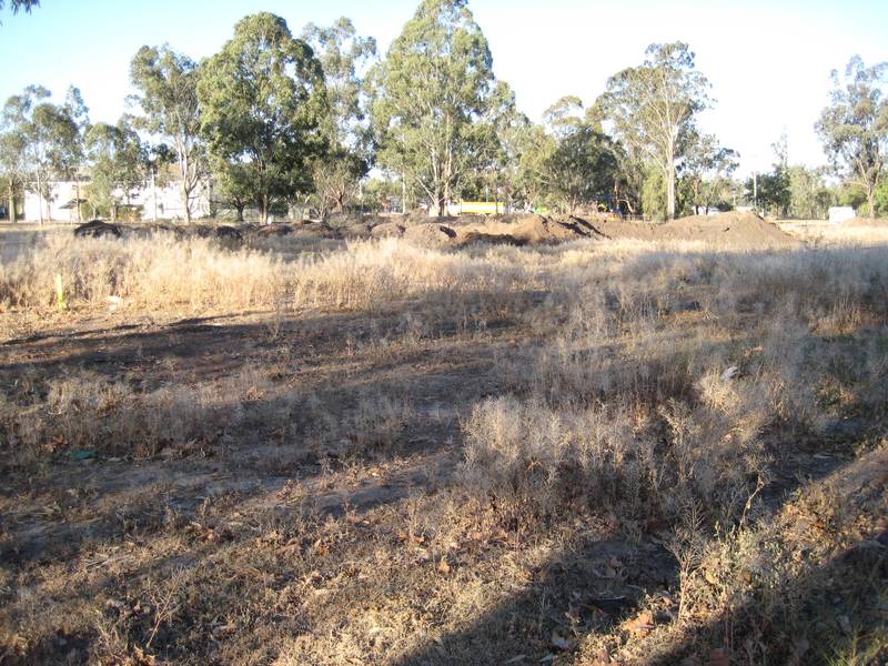 IDEAL POSITION Picture 2