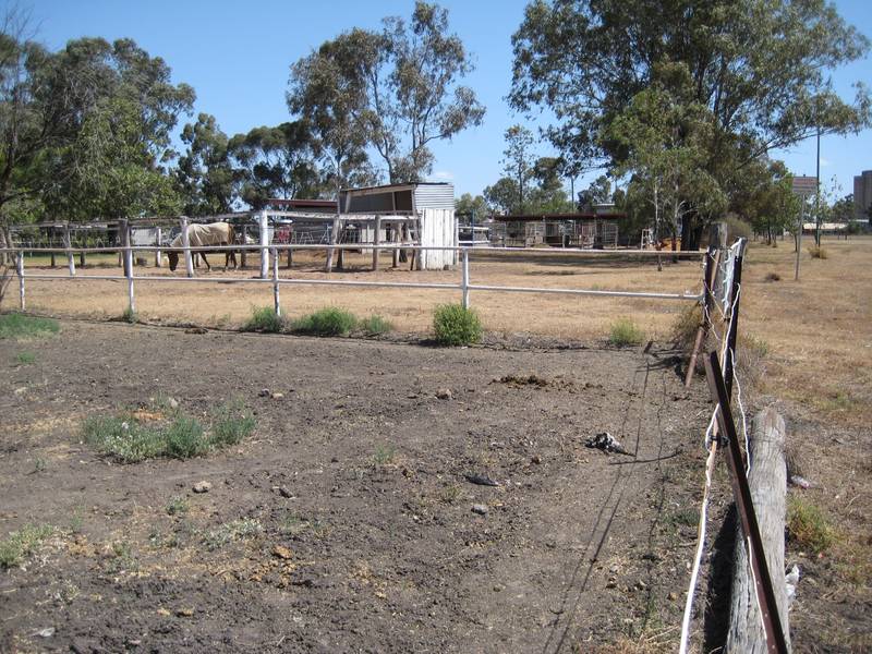 BASES FOR BUILDING Picture 3