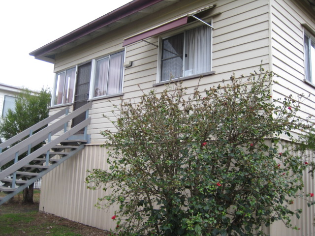 RISING HIGH Picture 2