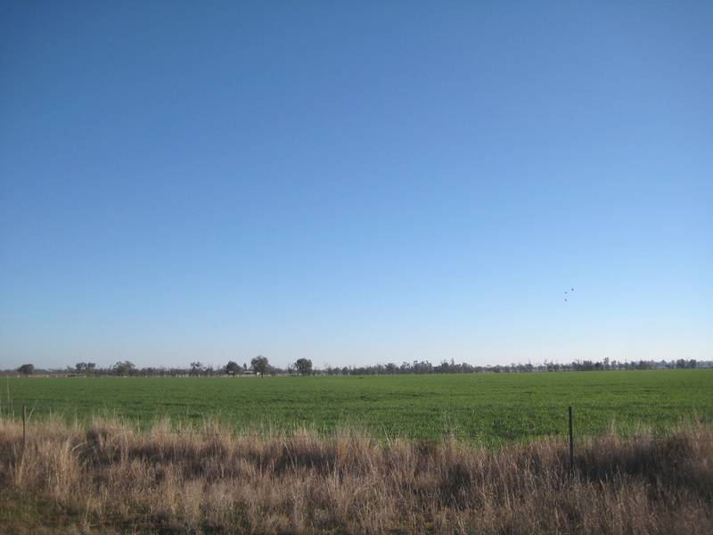 LAND LAND LAND Picture 1