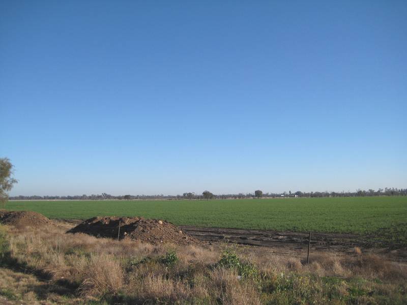 LAND LAND LAND Picture 3