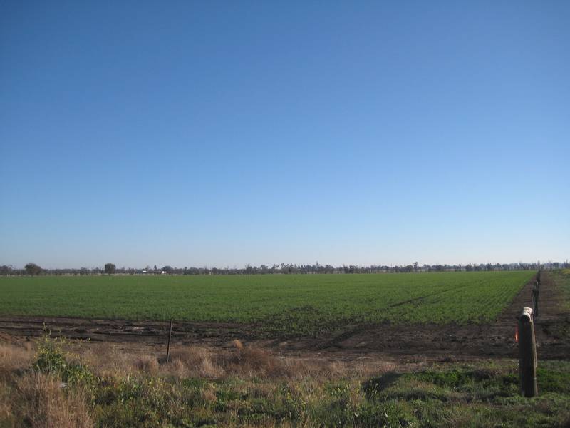 LAND LAND LAND Picture 2