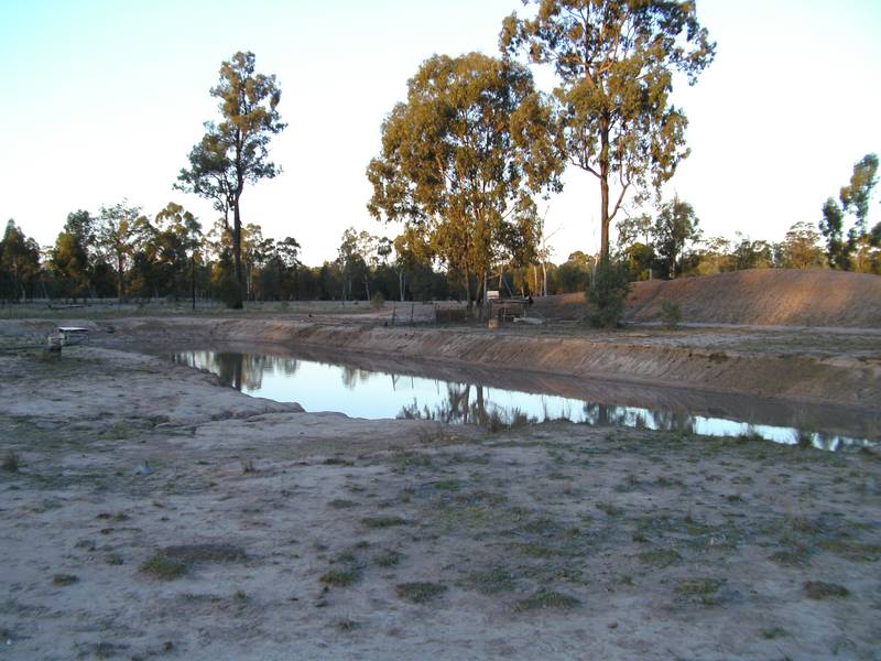 IN THE BUSH Picture 3