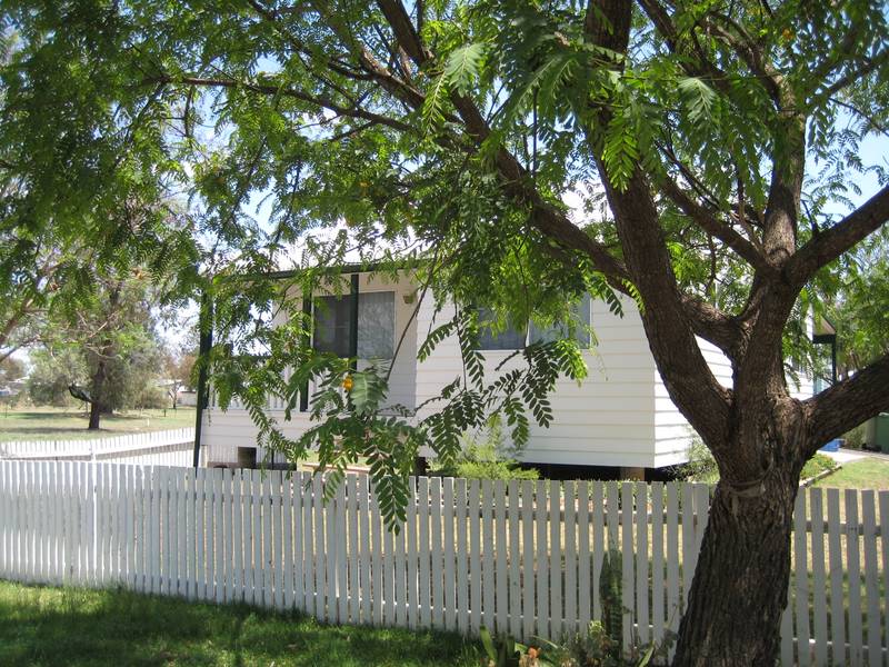 APPEARANCE IS DECEPTIVE Picture 2