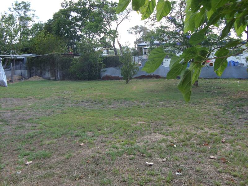 Walk the kids to school. Picture 3