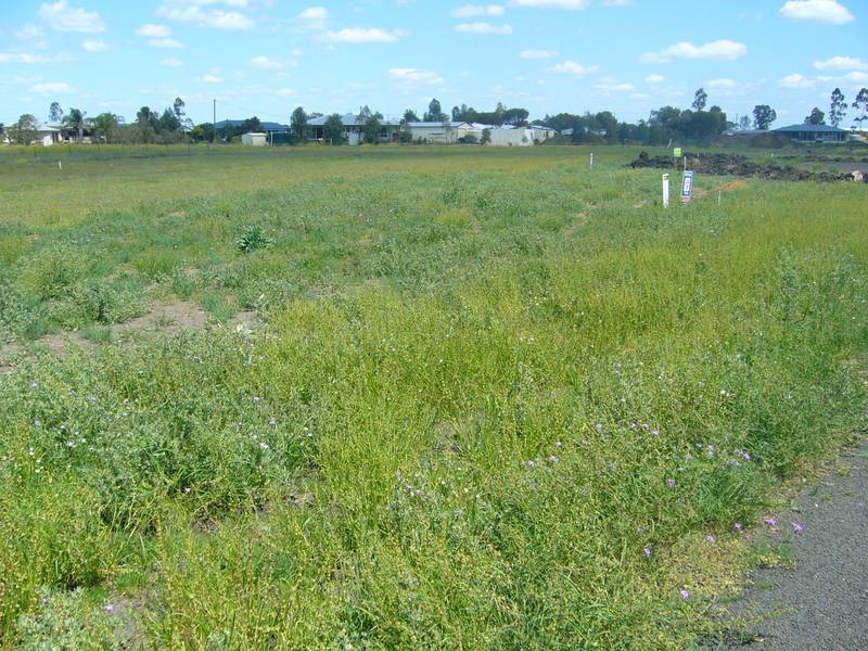 ACRE BLOCKS Picture 3