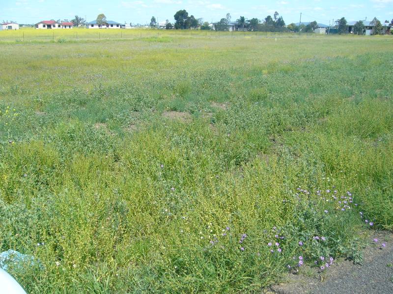 ACRE BLOCKS Picture 2